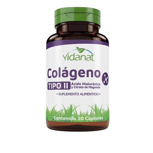 Colageno Tipo 2 Acido Hialurónico Y Citrato De Magnesio