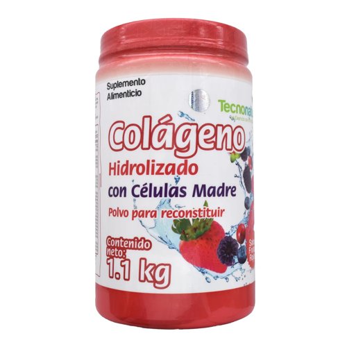 Colageno Hidrolizado Fruto 1.1 Kg